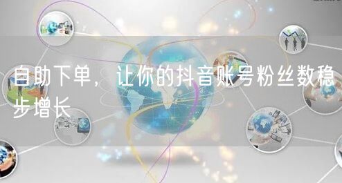 自助下单，让你的抖音账号粉丝数稳步增长