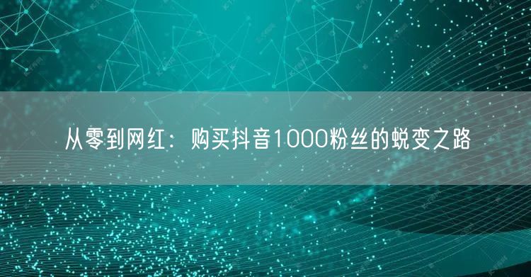 从零到网红：购买抖音1000粉丝的蜕变之路