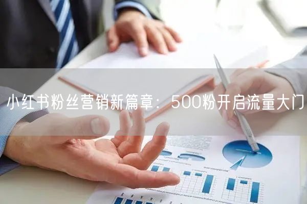 小红书粉丝营销新篇章：500粉开启流量大门
