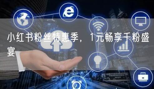 小红书粉丝特惠季，1元畅享千粉盛宴