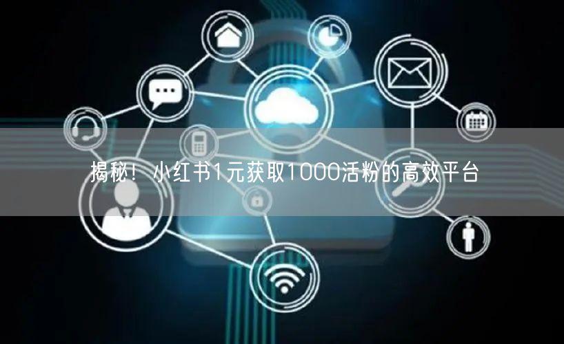 揭秘！小红书1元获取1000活粉的高效平台