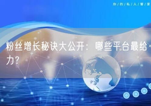 粉丝增长秘诀大公开：哪些平台最给力？