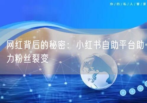 网红背后的秘密：小红书自助平台助力粉丝裂变